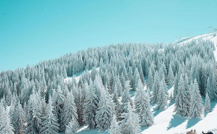 Dream Milmari L12 Apartman Kopaonik Dış mekan fotoğraf